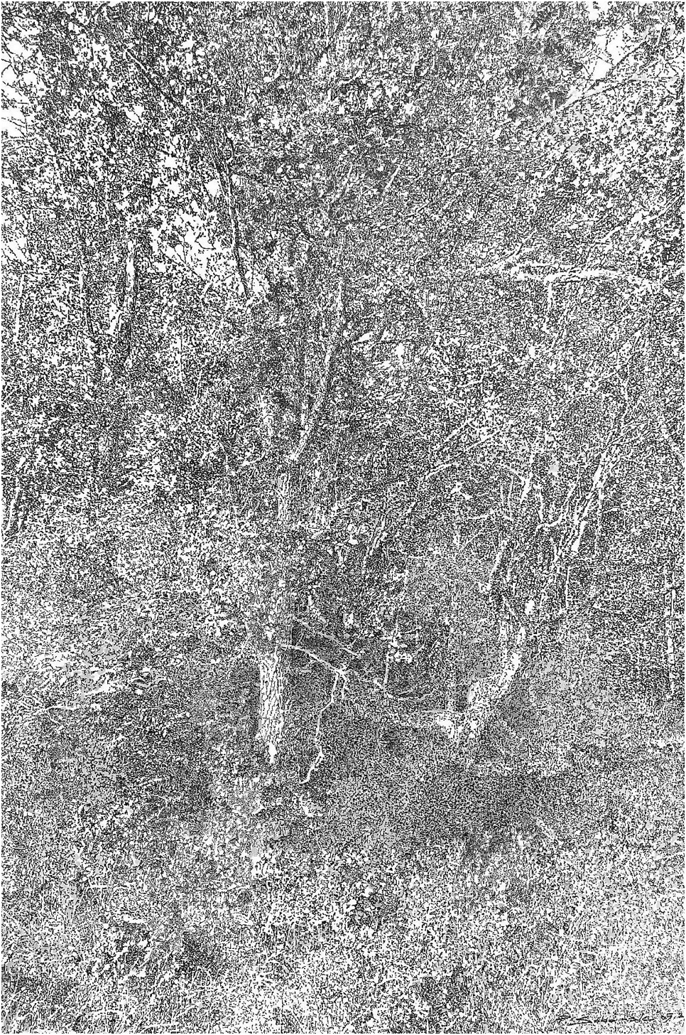 Ilustracja do wiersza
