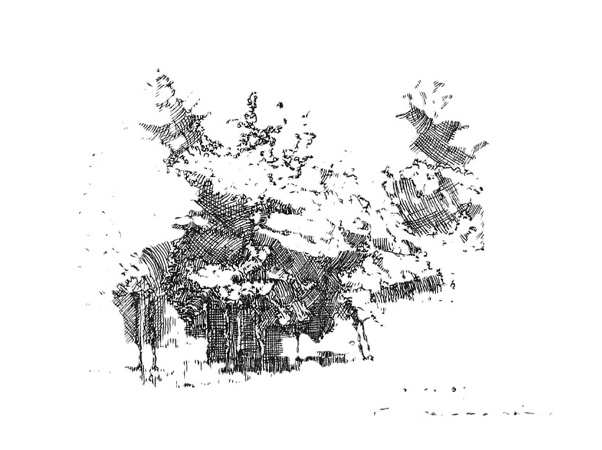 Ilustracja do wiersza