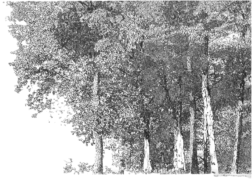 Ilustracja tytulowa